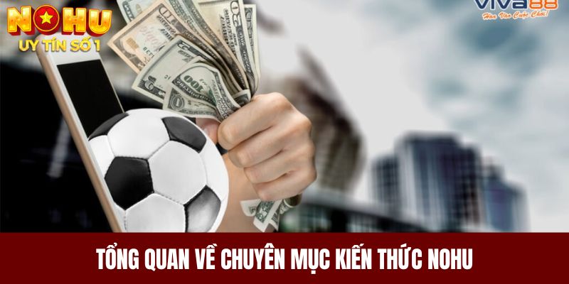 Tổng quan về chuyên mục kiến thức NOHU