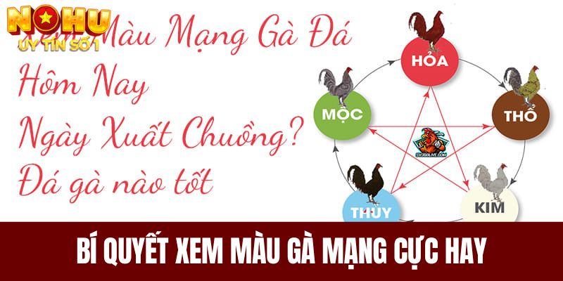 Bí quyết xem màu gà mạng cực hay 