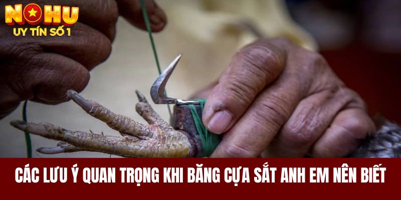 Các lưu ý nên bỏ túi