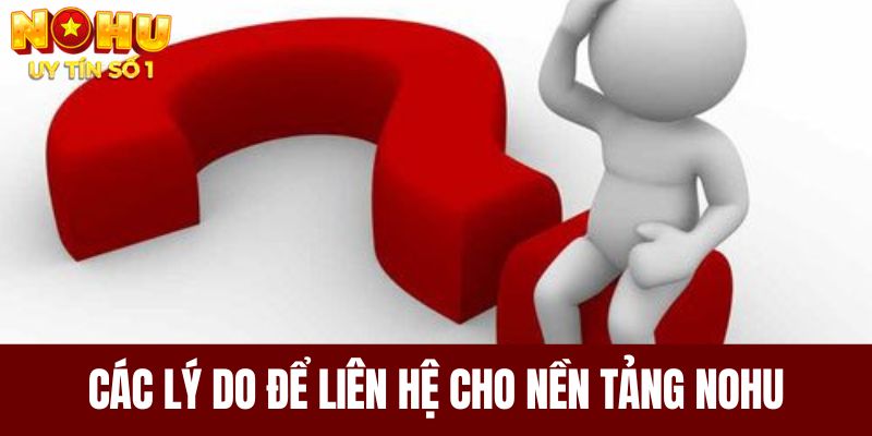 Các lý do để liên hệ cho nền tảng NOHU mà bạn không thể bỏ qua