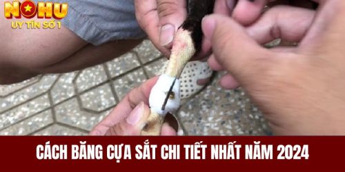 Cách Băng Cựa Sắt Chi Tiết Nhất Năm 2024 Cho Các Bet Thủ