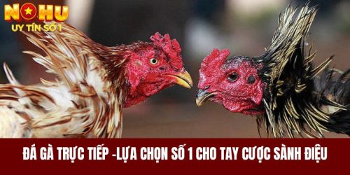 Đá Gà Trực Tiếp - Sự Lựa Chọn Số 1 Cho Tay Cược Sành Điệu