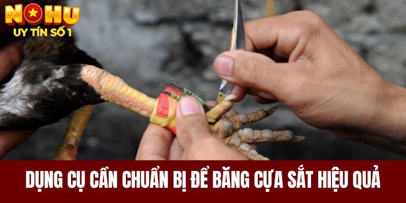 Dụng cụ chuẩn bị cần thiết