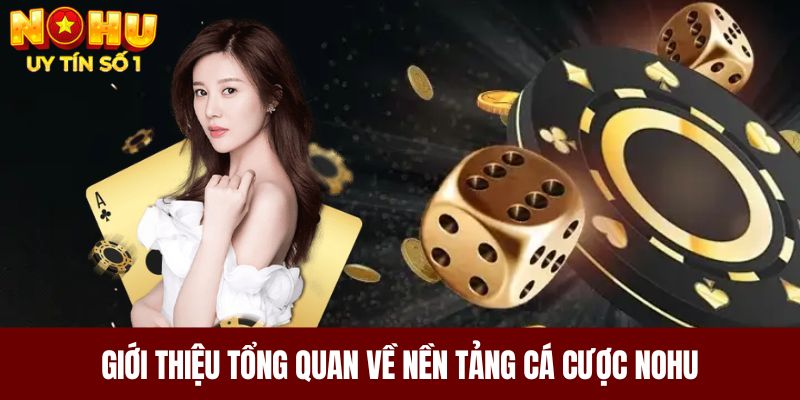 Giới thiệu tổng quan về nền tảng cá cược NOHU