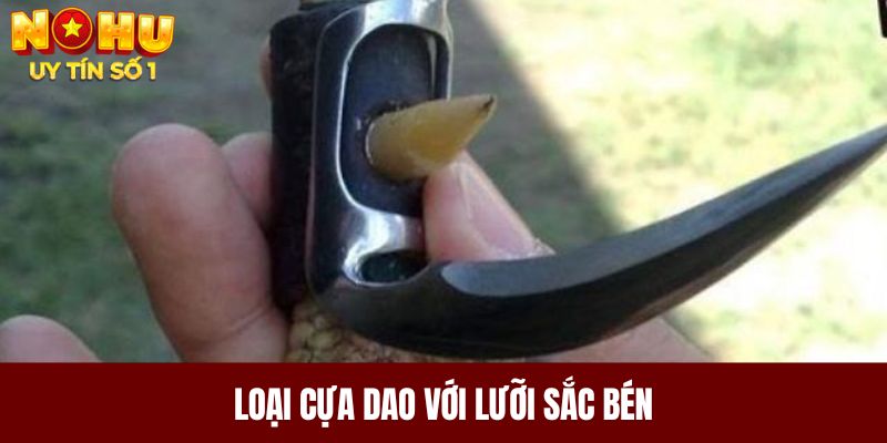 Loại cựa dao với lưỡi sắc bén