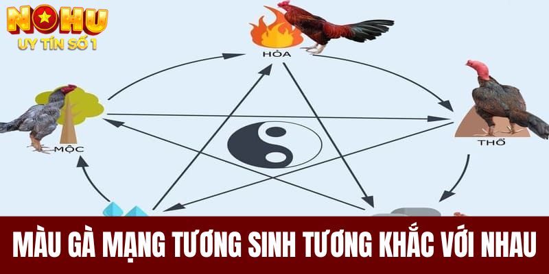 Màu gà mạng tương sinh, tương khắc với nhau