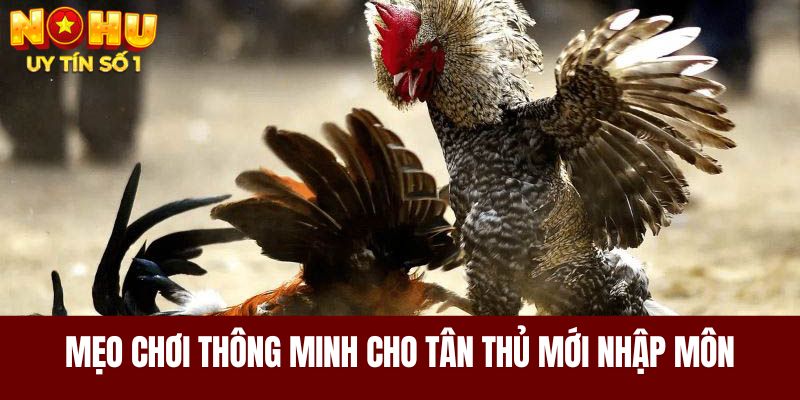 Mẹo chơi thông minh