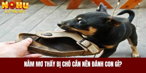 Nằm Mơ Thấy Bị Chó Cắn Nên Đánh Con Gì? Là Điềm Lành Hay Dữ?