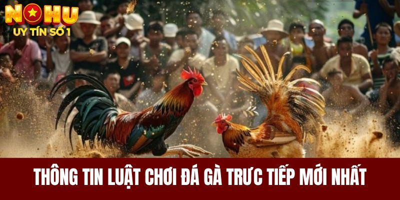 Những luật chơi cơ bản