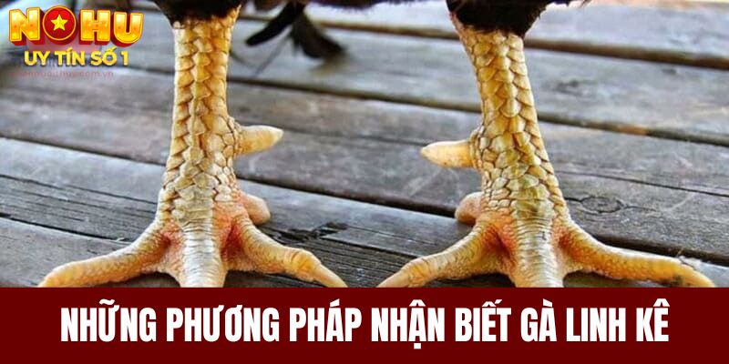 Những phương pháp nhận biết gà linh kê