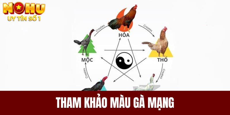 Tham khảo màu gà mạng