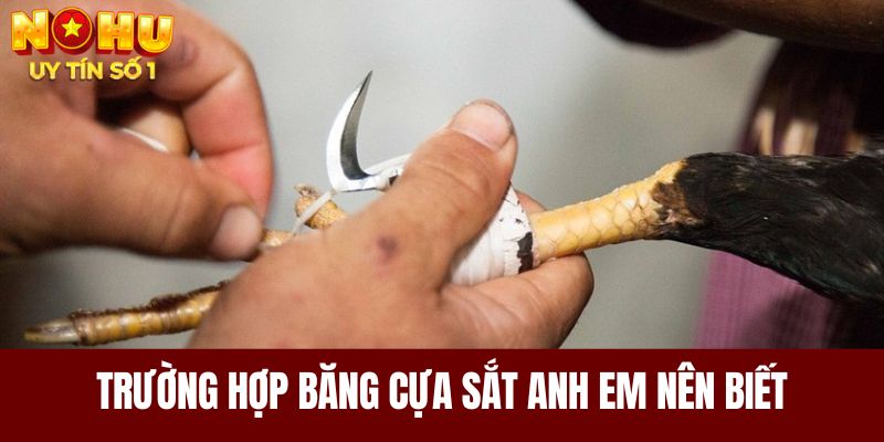 Trường hợp nên bỏ túi